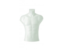 Male Torso